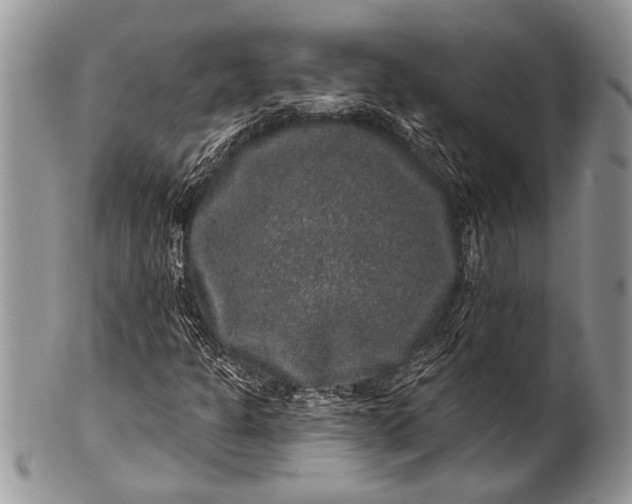 X0000100391301200806201704