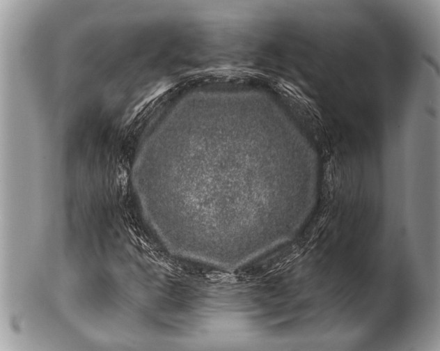 X0000100391302200806201704