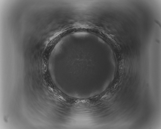 X0000100391303200806201704