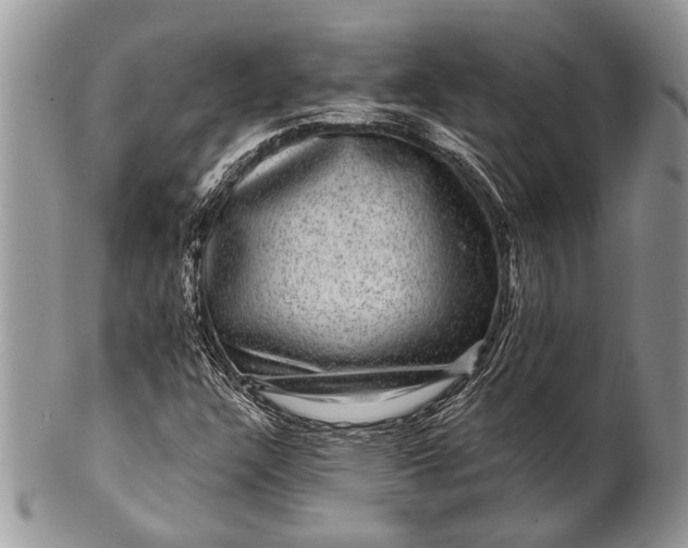 X0000100391304200806201704