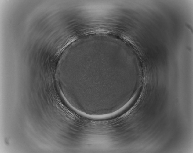 X0000100391305200806201704