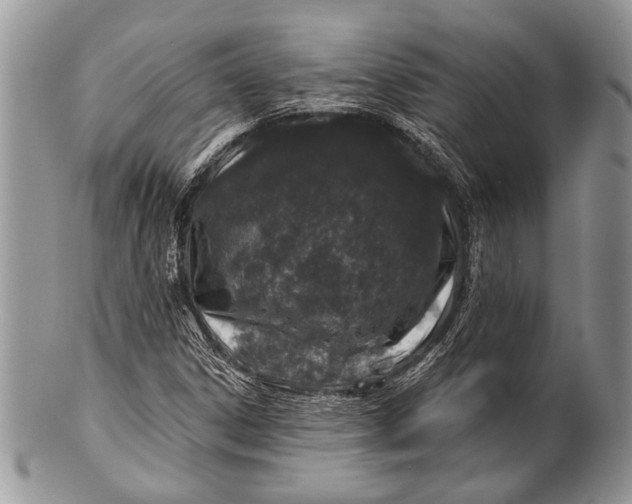 X0000100391306200806201704