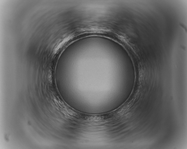 X0000100391307200806201704