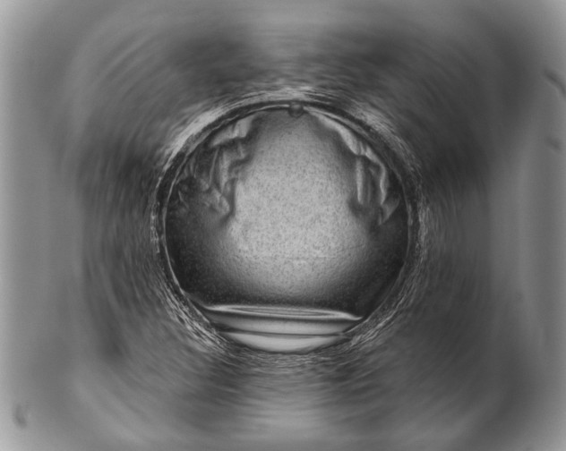 X0000100391308200806201704