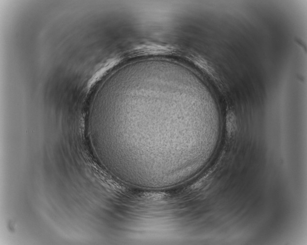 X0000100391309200806201704