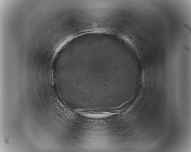 X0000100391310200806201704