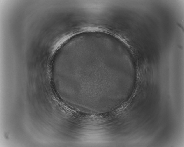 X0000100391311200806201704