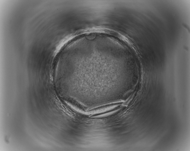 X0000100391312200806201704