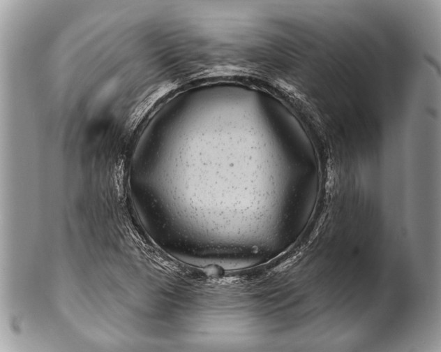 X0000100391313200806201704