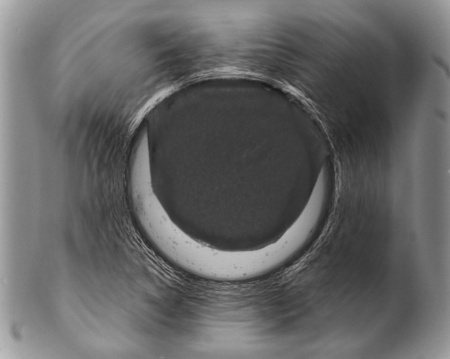 X0000100391314200806201704