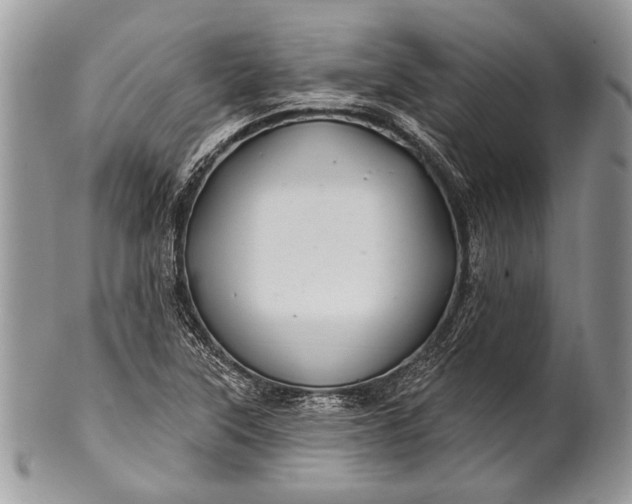 X0000100391315200806201704