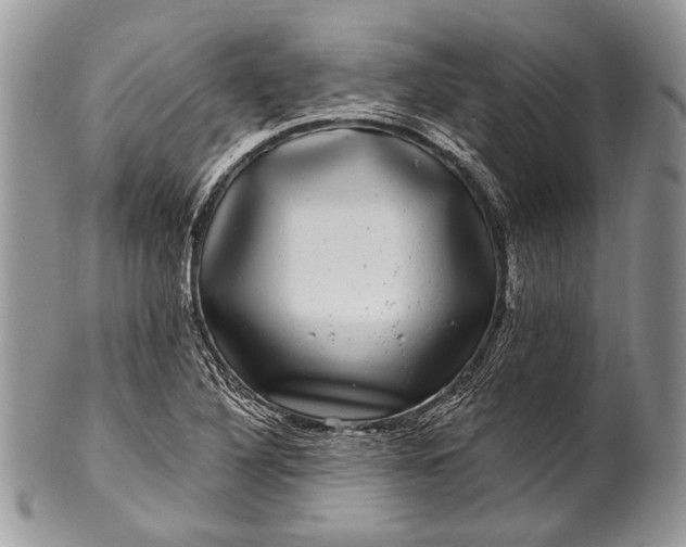 X0000100391316200806201704