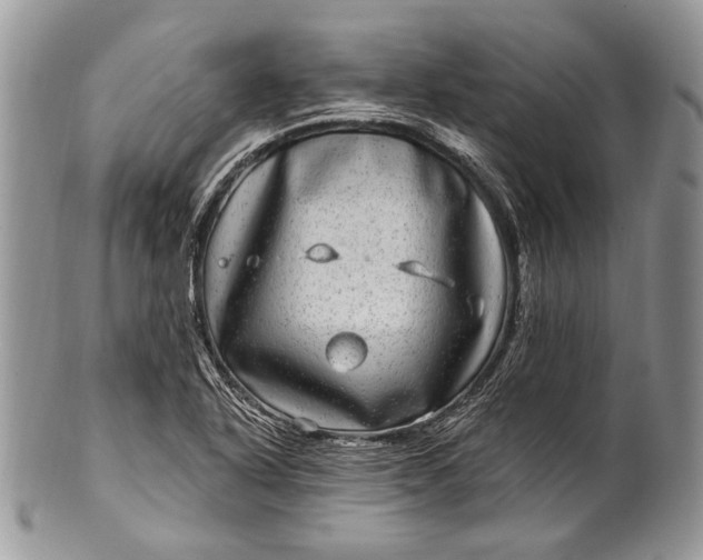 X0000100391318200806201704