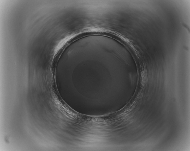 X0000100391319200806201704