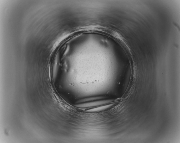 X0000100391320200806201704