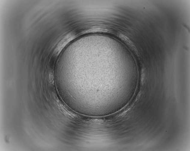 X0000100391321200806201704