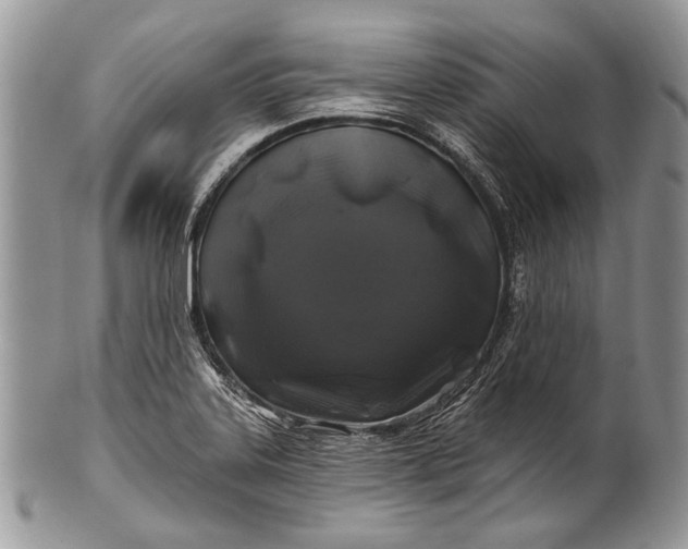 X0000100391323200806201704