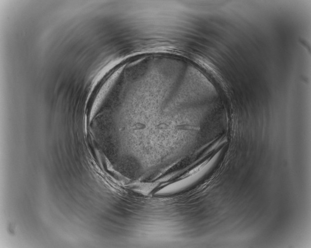 X0000100391324200806201704