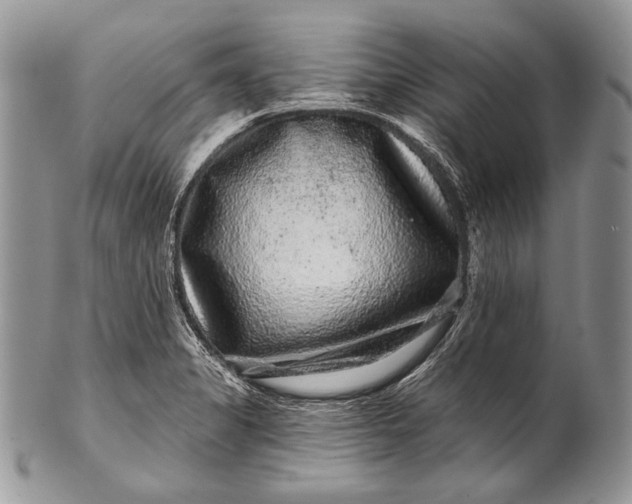 X0000100391325200806201704