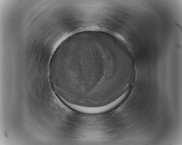 X0000100391326200806201704