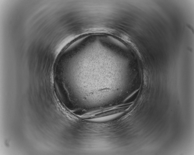 X0000100391328200806201704