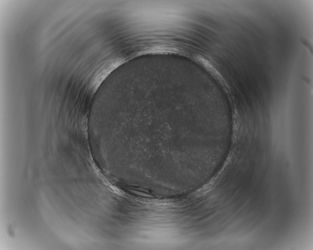 X0000100391329200806201704