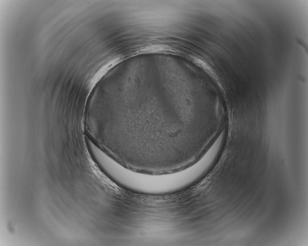 X0000100391330200806201704