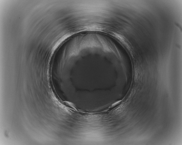 X0000100391331200806201704