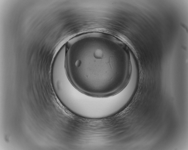 X0000100391332200806201704