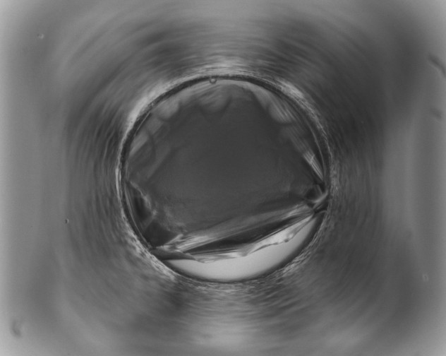 X0000100391334200806201705