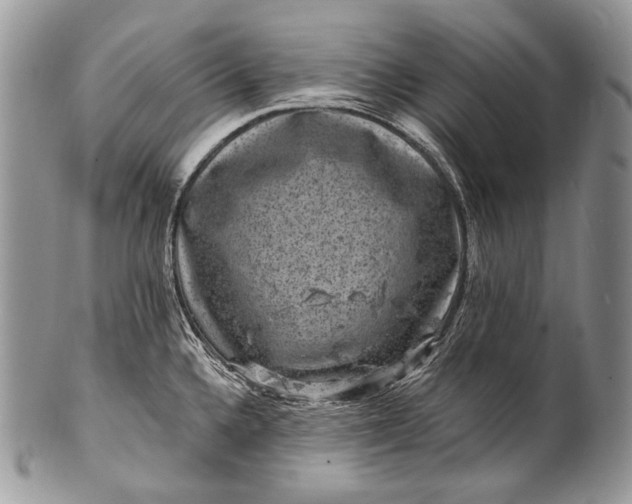 X0000100391336200806201705