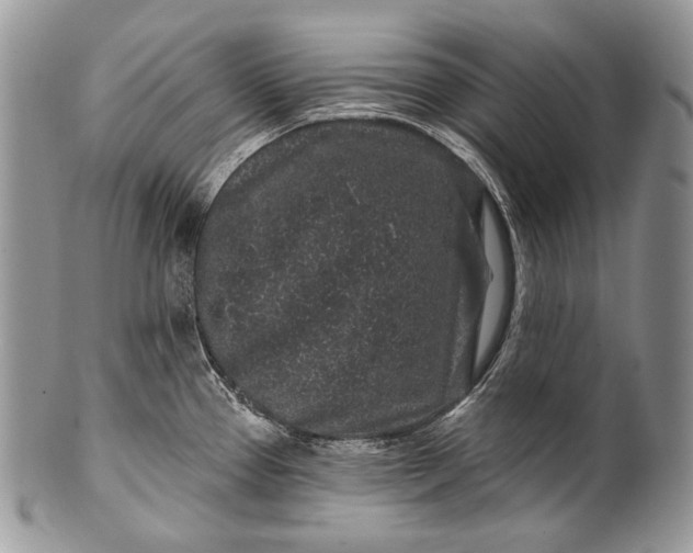 X0000100391337200806201705