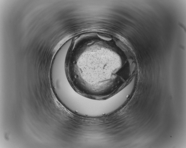 X0000100391338200806201705