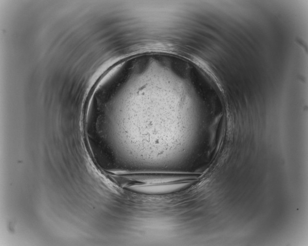 X0000100391339200806201705