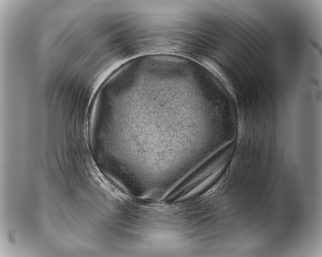 X0000100391340200806201705