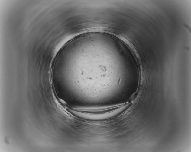 X0000100391342200806201705