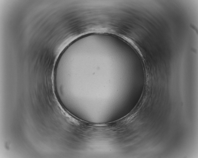 X0000100391343200806201705