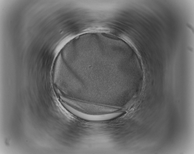 X0000100391344200806201705