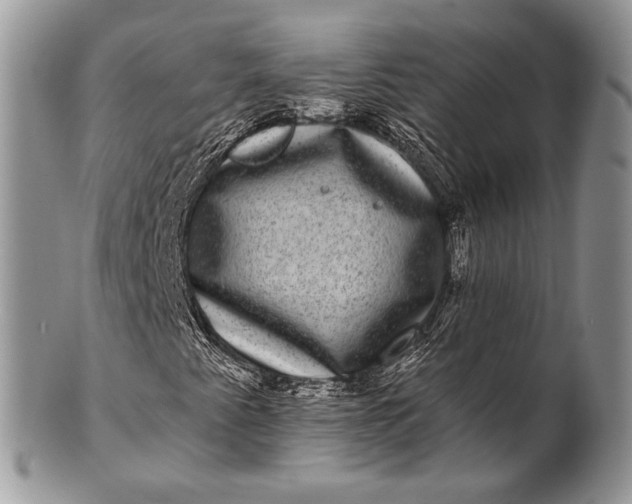 X0000100391345200806201704