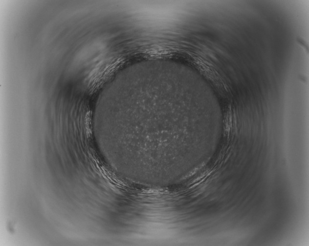 X0000100391346200806201704