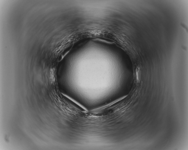 X0000100391347200806201704