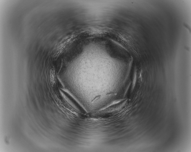 X0000100391348200806201704