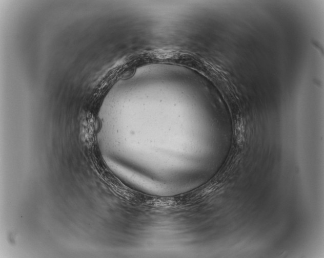 X0000100391349200806201704