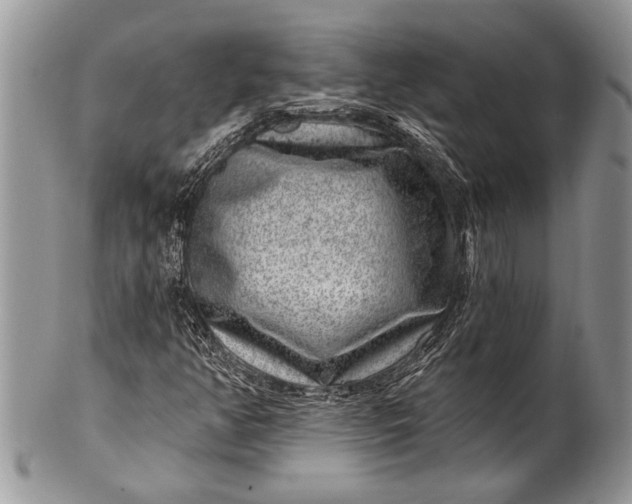 X0000100391350200806201704