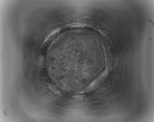 X0000100391351200806201704