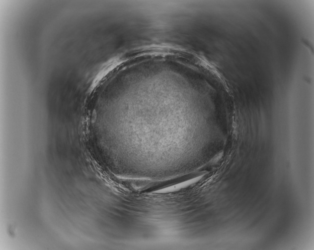 X0000100391352200806201704