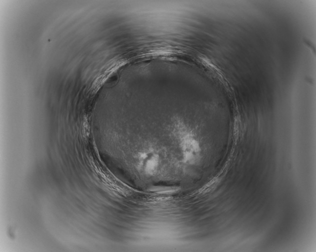 X0000100391353200806201704