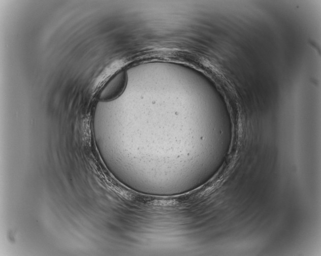 X0000100391354200806201704