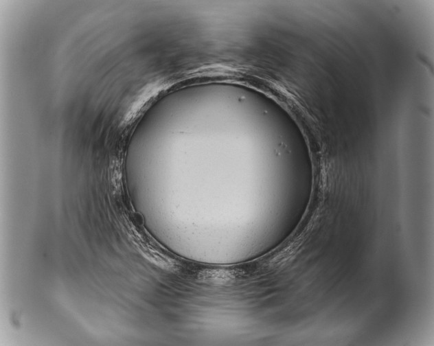 X0000100391355200806201704