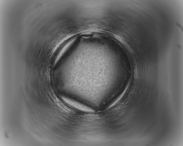 X0000100391356200806201704